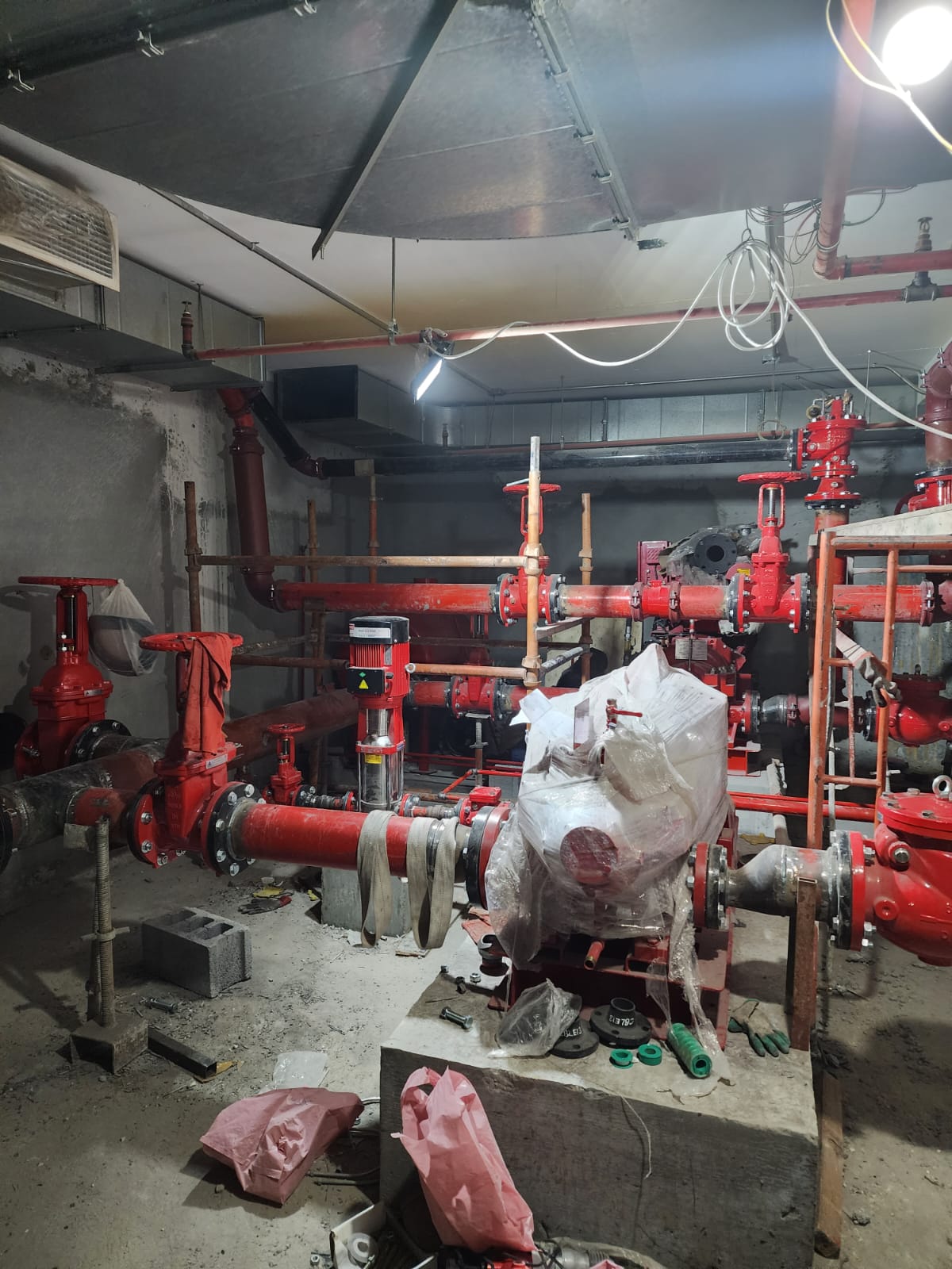 Basement Pump Skid Assembly